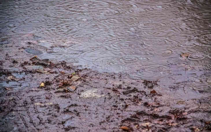 В Бразилии число погибших при прорыве дамбы возросло до 65