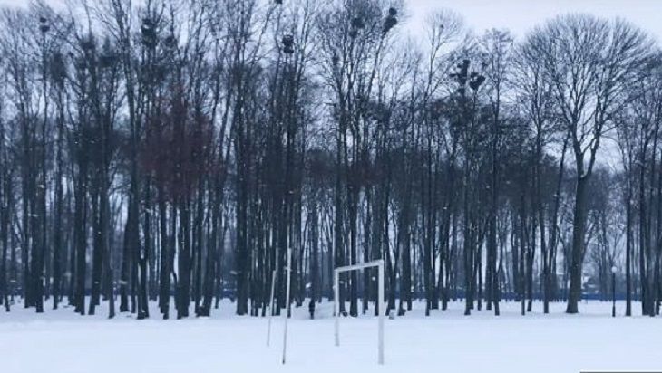 Фильм белоруски удостоен Гран-при фестиваля мобильного кино Фильм белоруски удостоен Гран-при фестиваля мобильного кино