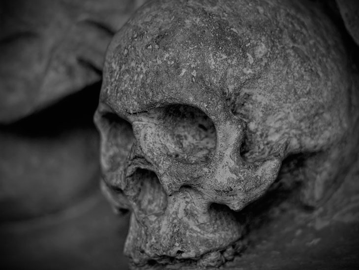 Найден 35000-летний череп современного человека