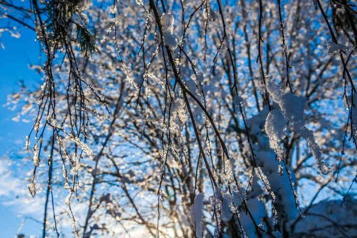 Как весной. Погода на выходные Как весной. Погода на выходные