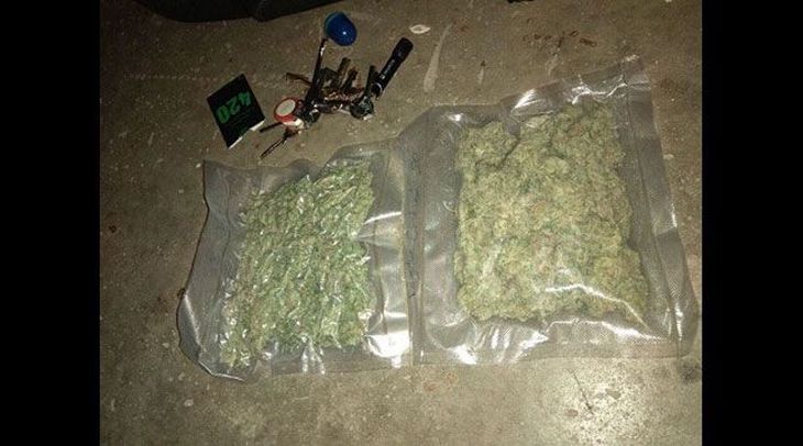 Минчанин выращивал дома более 30 кустов конопли Минчанин выращивал дома более 30 кустов конопли