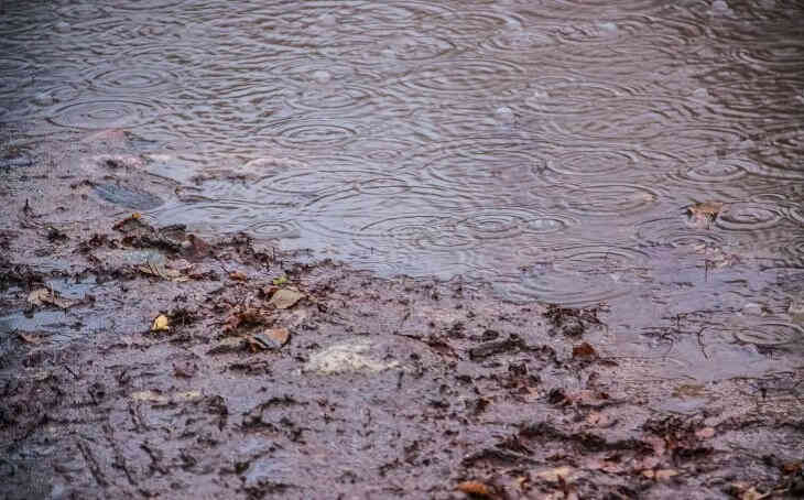 Прорыв дамбы в Бразилии: в числе погибших уже 134 человека Прорыв дамбы в Бразилии: в числе погибших уже 134 человека