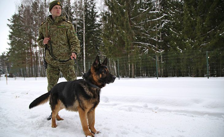 Украинец через Беларусь пытался нелегально попасть в Россию для получения гражданства