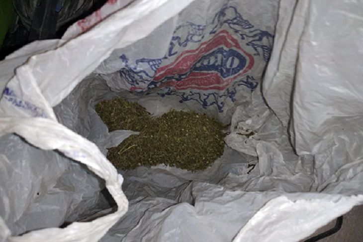 В Бресте в один день задержаны два наркопотребителя