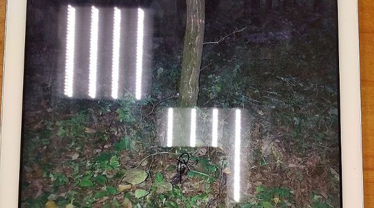 Минчанин обвиняется в незаконном обороте психотропов в составе организованной группы