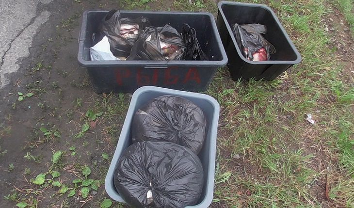 В деле о незаконной транспортировке 80 кг рыбы в Речицком районе поставлена точка