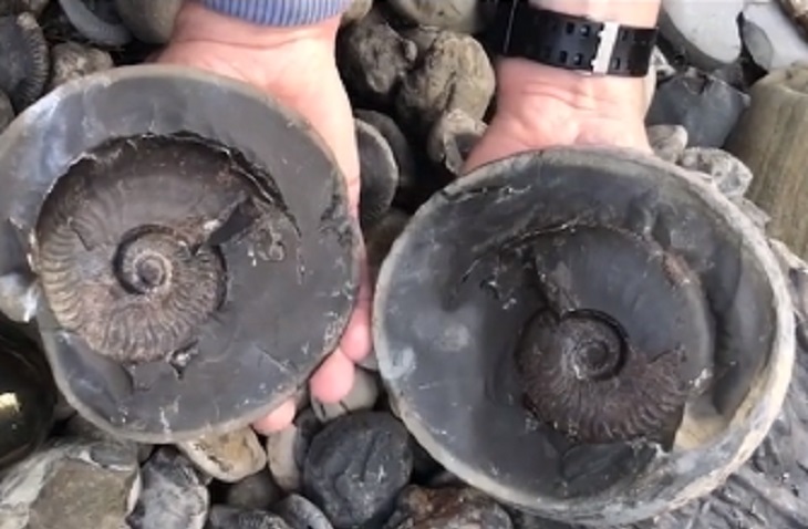 Студент случайно нашел уникальный древний артефакт Студент случайно нашел уникальный древний артефакт