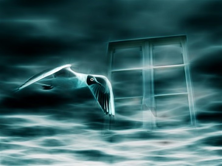 Гороскоп на 20 февраля 2019 года для всех знаков Зодиака