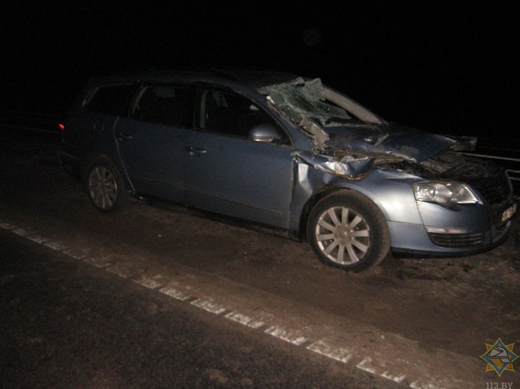 ДТП в Осиповичском районе: вызывали МЧС ДТП в Осиповичском районе: вызывали МЧС