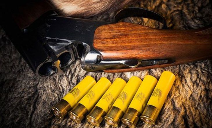 Украинца с ружейными патронами задержали на белорусской границе Украинца с ружейными патронами задержали на белорусской границе