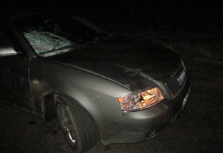 В Калинковичском районе сбили 50-летнюю женщину В Калинковичском районе сбили 50-летнию женщину