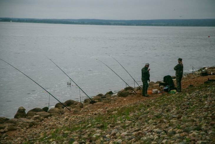 Более 300 км сетей изъяли в Беларуси в прошлом году инспекторы природоохраны