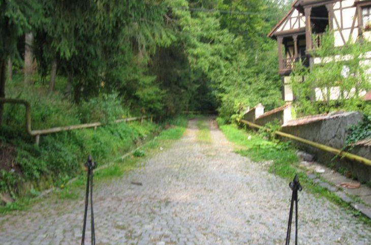 В Минске хотят обустроить экотропы