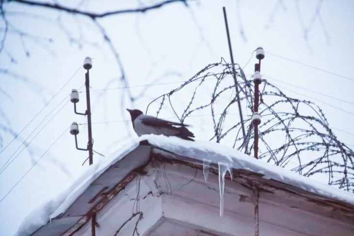 Женщина убила сына подруги столовой ложкой Женщина убила сына подруги столовой ложкой