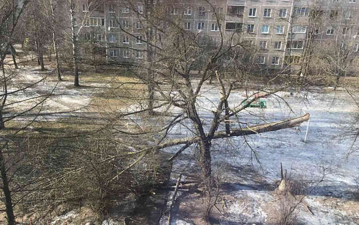 В Минске сильный ветер сорвал навес с остановки и сломал дерево