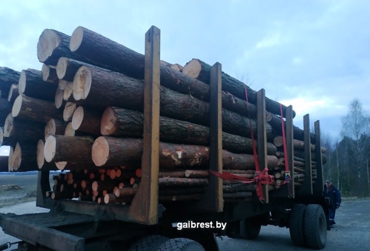 Сотрудники ГАИ остановили лесовоз, который вез бревна с нарушением