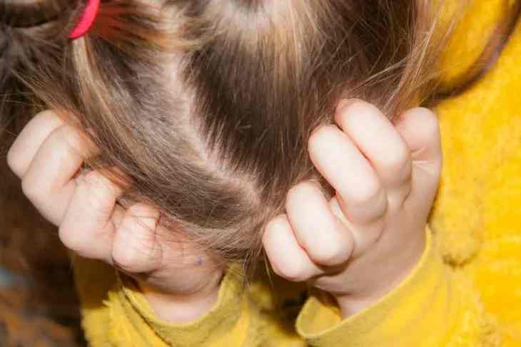 Посадили на цепь. Многодетные родители признались в пытках над своими 12 детьми