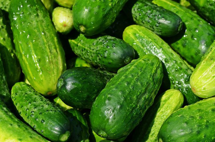 Ученые назвали самый полезный для здоровья желудка овощ