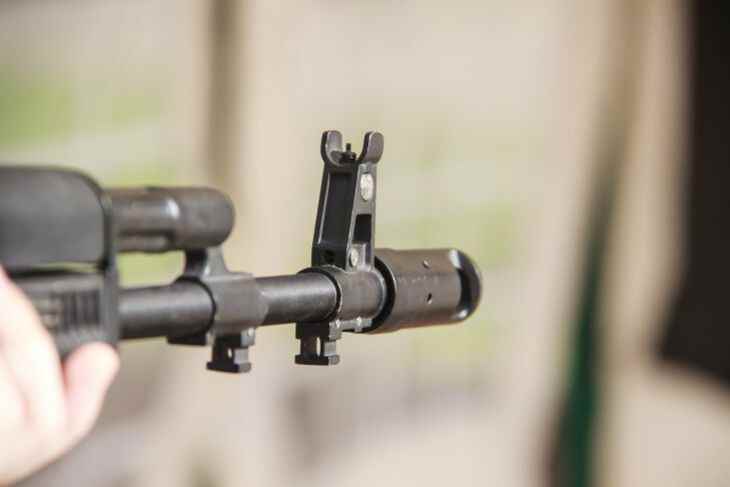 Двое охотников на зубра приговорены в Бресте к двум годам колонии Двое охотников на зубра приговорены в Бресте к двум годам колонии