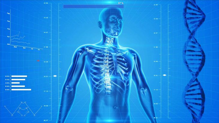Ученые выявили новую форму наследственного остеопороза