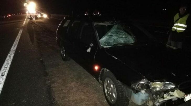 Смертельный наезд в Кобринском районе: легковушка насмерть сбила пешехода 