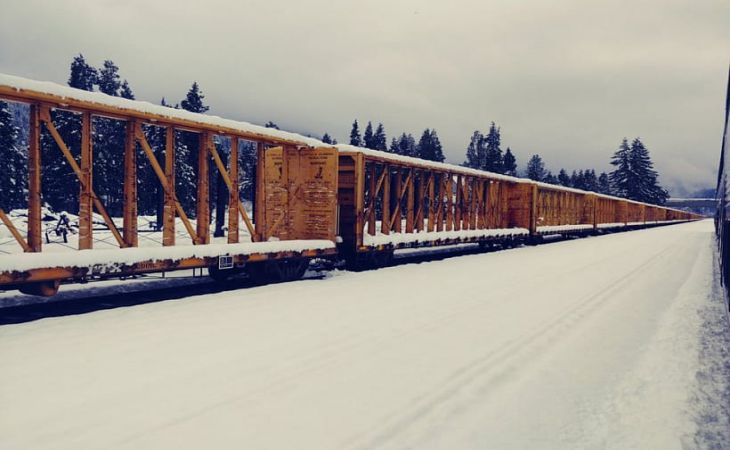 Пассажирский поезд в США простоял 36 часов из-за снегопада