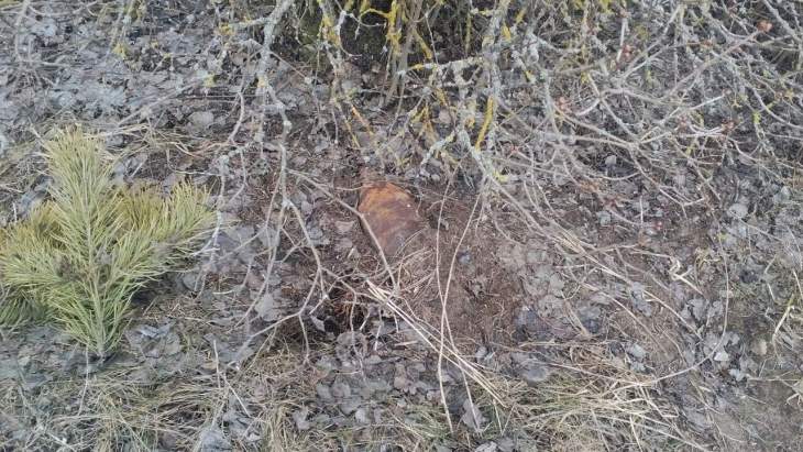 Жительница Калинковичского района нашла минометную мину по дороге домой