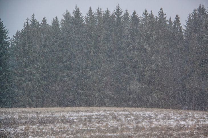Прогноз погоды по Беларуси на день 1 марта 2019 года Прогноз погоды по Беларуси на день 1 марта 2019 года