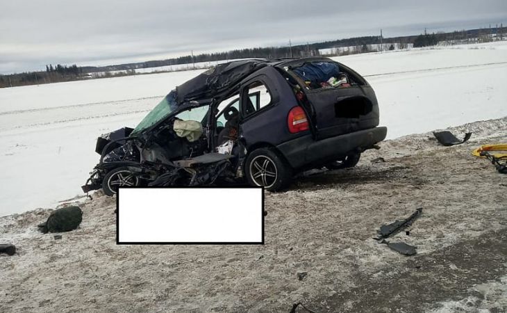 В Толочинском районе легковушка столкнулась с фурами, водитель погиб