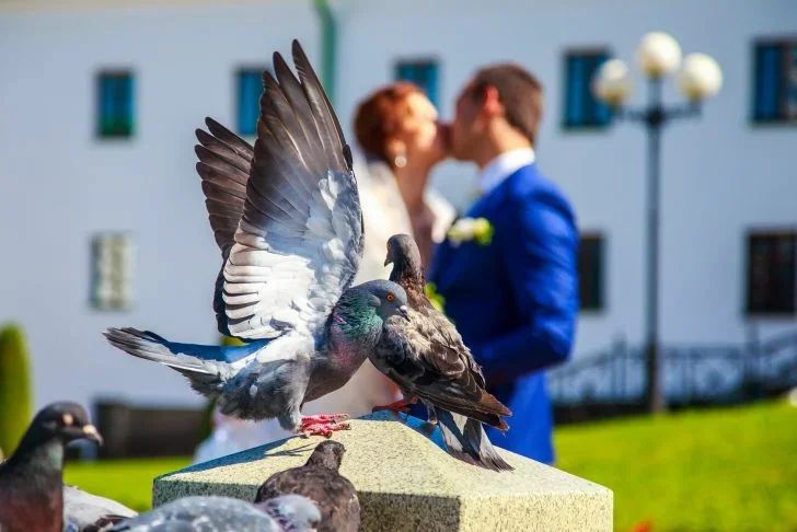 Не родись красивой. Каких жен выбирают современные мужчины