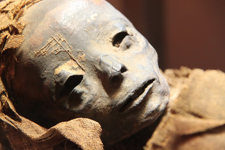 Ученые нашли разгадку самой высокой мумии