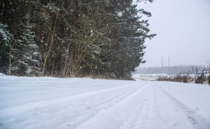 В Беларуси устроят благотворительные соревнования по горным лыжам