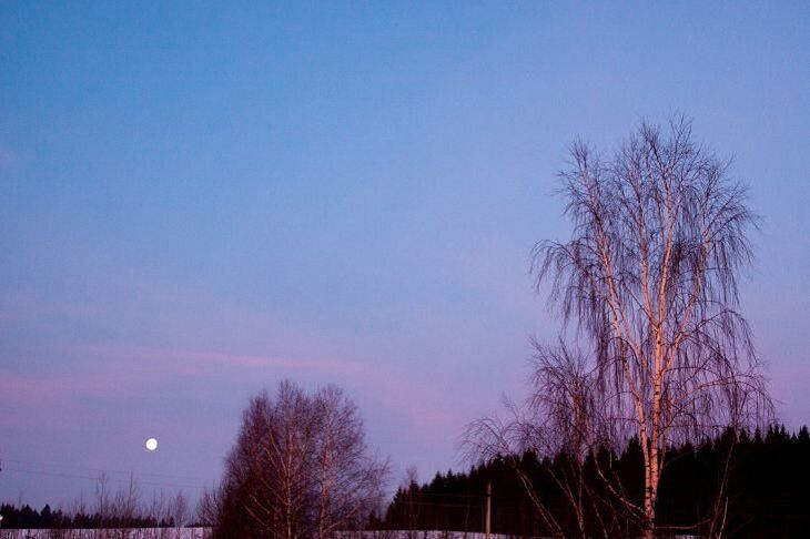 Прогноз погоды на 7 марта 2019 года. Оранжевый уровень опасности Прогноз погоды на 7 марта 2019 года. Оранжевый уровень опасности