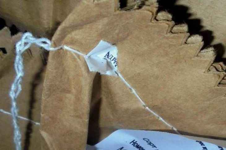 Россельхознадзор вернул в Беларусь казеин с переклеенными этикетками