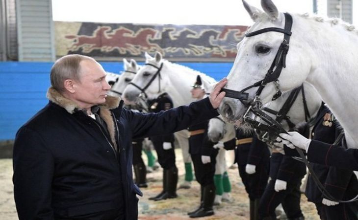 «Испугался и поехал задом»: у Путина произошел конфуз с конем
