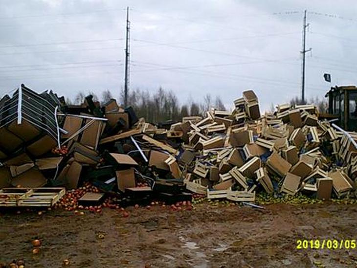 В России уничтожили более 67 тонн яблок и груш из Беларуси