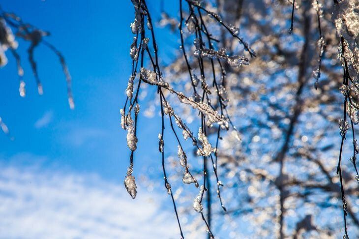 Прогноз погоды по Гомелю и Гомельской области на 10 марта 2019 года