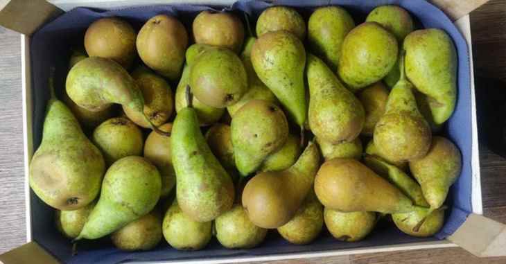 Начало весны для смоленских таможенников ознаменовалось богатым «уловом» белорусского контрафакта Начало весны для смоленских таможенников ознаменовалось богатым «уловом» белорусского контрафакта