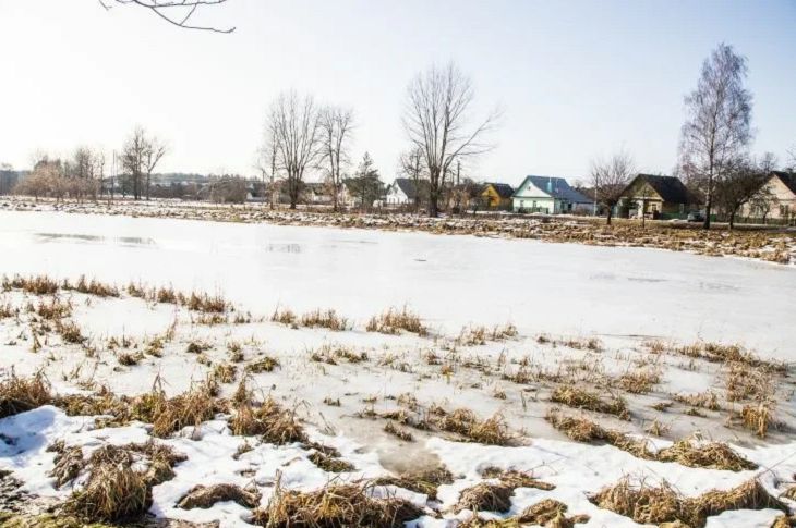 Прогноз погоды по Беларуси на 11 марта 2019 года Прогноз погоды по Беларуси на 11 марта 2019 года