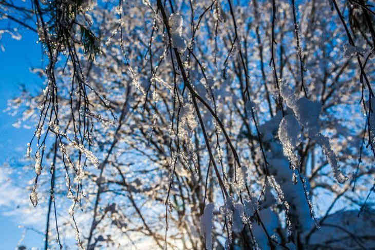 Погода в Гомеле и области на 11 марта 2019 года