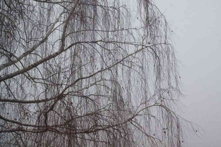 Оранжевый уровень опасности объявлен на понедельник 11 марта Оранжевый уровень опасности объявлен на понедельник 11 марта