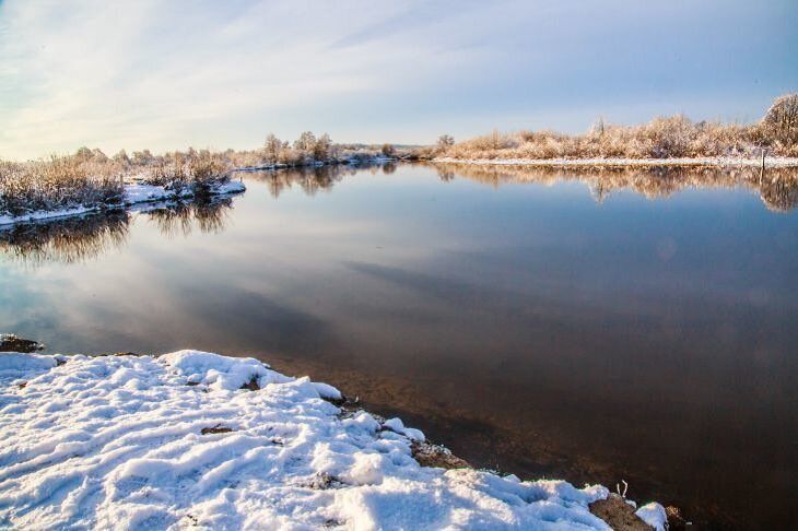 В Лоевском районе на промерзшем до дна водохранилище погибла часть рыбы