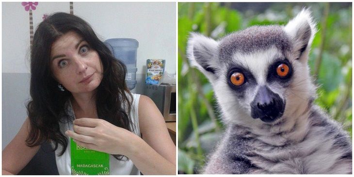 Минчане сравнили своих жен с животными. Вот, что вышло  