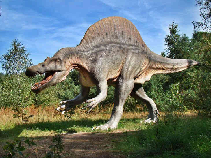 Ученые: новый вид динозавров открыт в Австралии