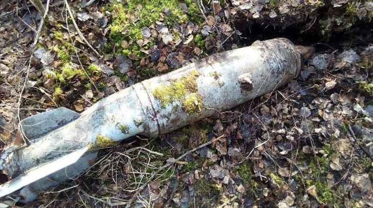 В Столинском районе на бывшем военном полигоне обнаружены авиаснаряды