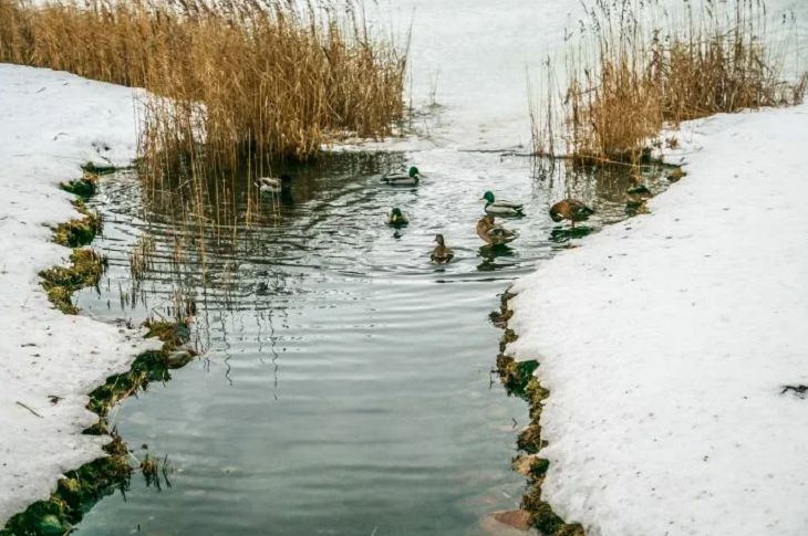 Погода в Гомеле и области на 13 марта 2019 года Погода в Гомеле и области на 13 марта 2019 года