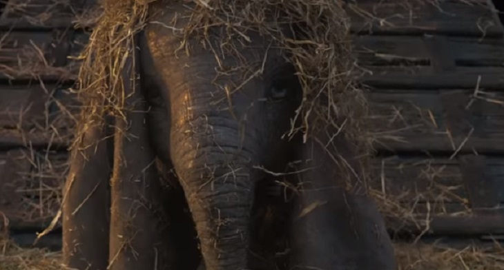 Disney представила первый отрывок фильма «Дамбо» Disney представила первый отрывок фильма «Дамбо»