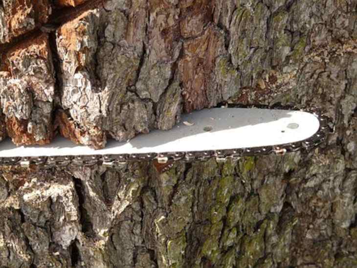 Мужчина распилил себе лицо бензопилой и сам добрался до врачей Мужчина распилил себе лицо бензопилой и сам добрался до врачей