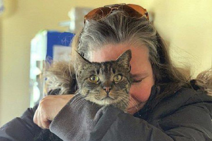 Кот ушел погулять. Вернулся через 5 лет