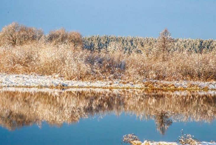 Погода в Бресте и области на день 16 марта 2019 года Погода в Бресте и области на день 16 марта 2019 года